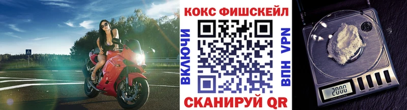 Cocaine 99%  Купить закладки  Камышлов 