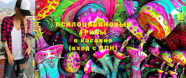 a pvp Володарск