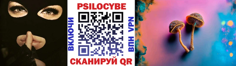 Купить закладки  Камышлов  Псилоцибиновые грибы мицелий 